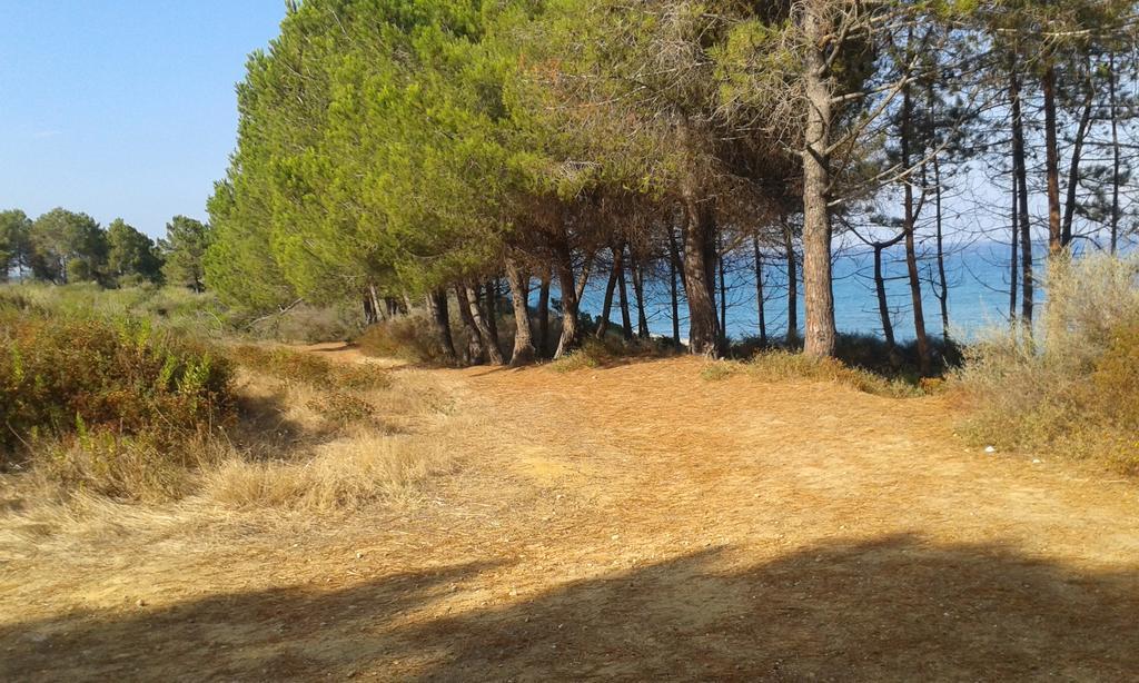 Les Jardins De La Mer Marine De Bravone - 2 Chambres A Lit Plus Sofa Avec Piscine A Cote Mer Linguizzetta Buitenkant foto