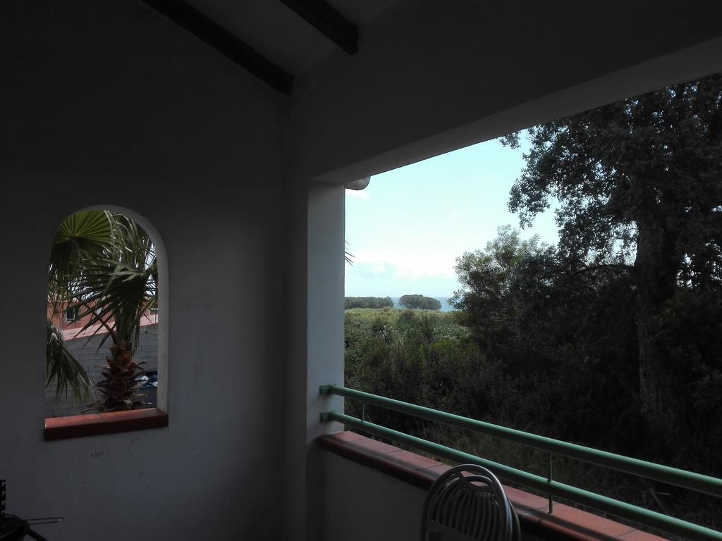 Les Jardins De La Mer Marine De Bravone - 2 Chambres A Lit Plus Sofa Avec Piscine A Cote Mer Linguizzetta Buitenkant foto